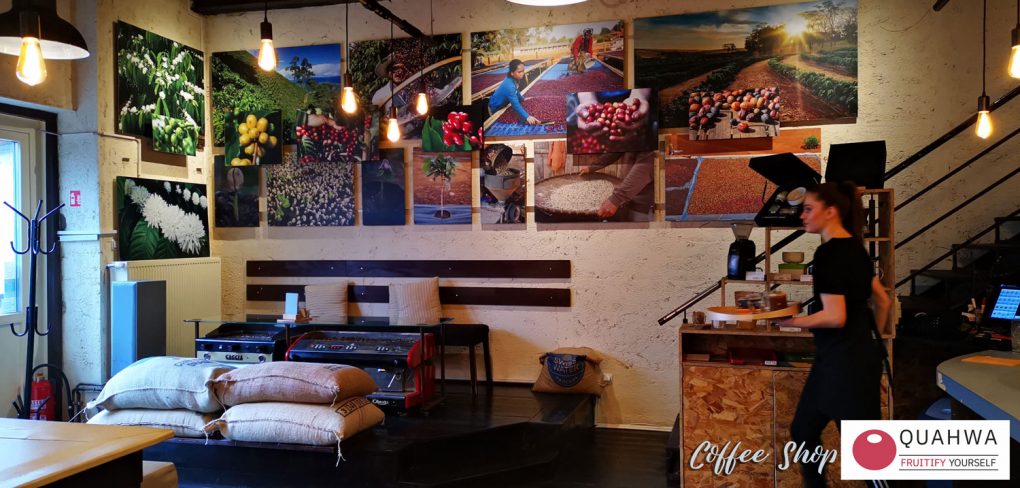 quahwa-coffee-shop-premium-kava